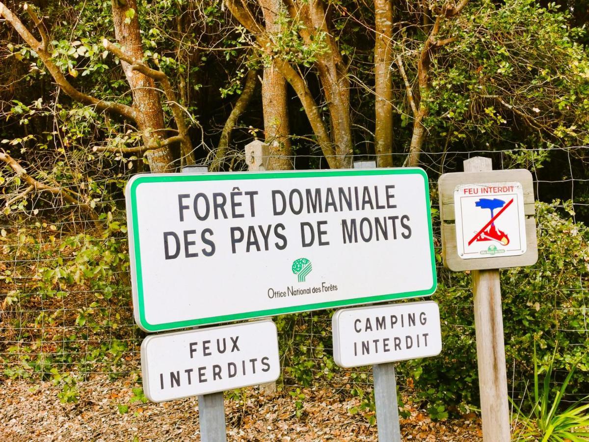 Les Jacinthes Vila Saint-Jean-de-Monts Exterior foto